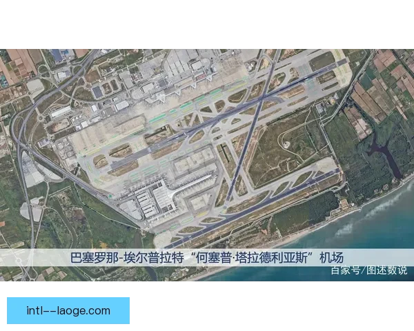 凯恩对阵切尔西欧联杯低迷表现原因探析与影响因素分析